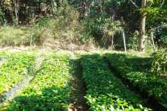 received_1067576747789748