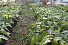received_3733665753571821