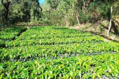received_765633445615168