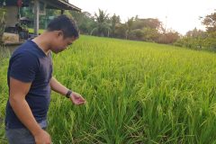 20181002_171717-scaled